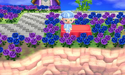 青いバラと紫のバラがすごい村 とびだせ どうぶつの森 V すやほの村